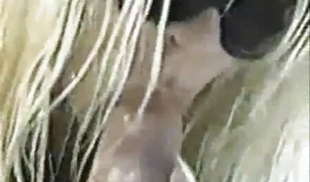 बॉस अपने सचिव के साथ मूवी सेक्सी हिंदी में वीडियो बुत का सपना देखता है