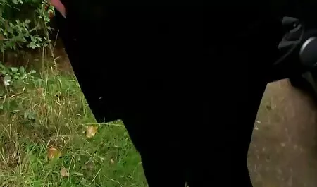 एक वयस्क सेक्सी मूवी हिंदी सेक्सी मूवी व्यक्ति ने एक छात्र को पैसे के लिए उसके साथ सोने की पेशकश की